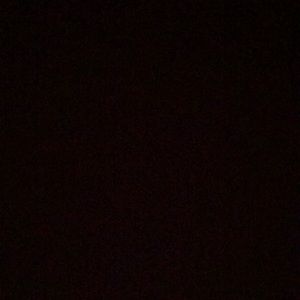 Meet your Posher, Eva